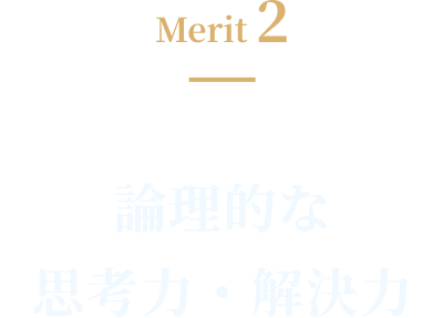 Merit2 論理的な思考力・解決力